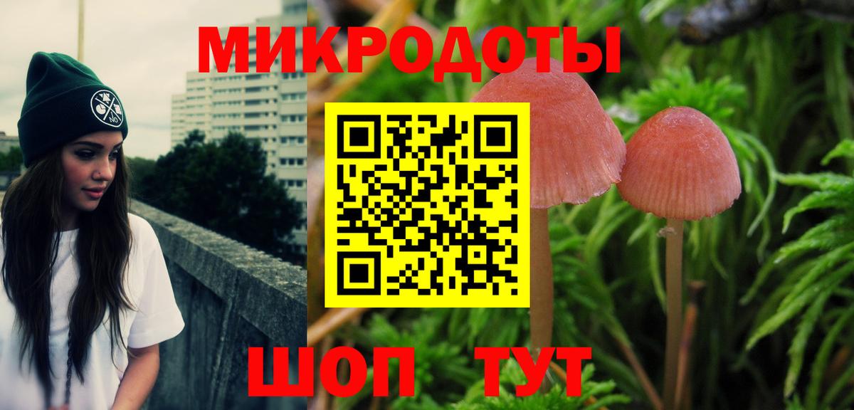как найти закладки  Галлюциногенные грибы Psilocybine cubensis  Вход с VPN  Алексин  Галлюциногенные грибы Cubensis 