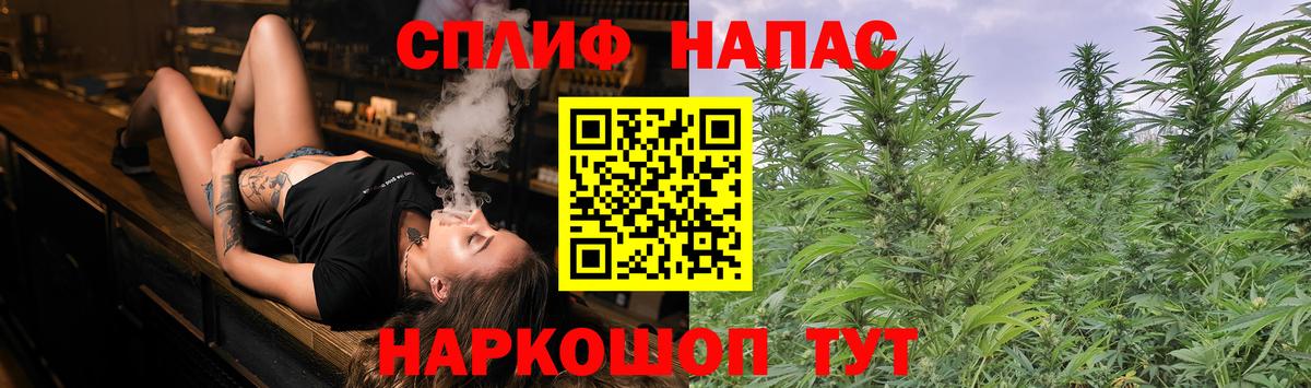Бошки Шишки Алексин